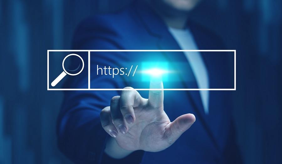 A Complete Guide to the UK Domain Drop Catching Service Pending Delete 95th Day After Expiry